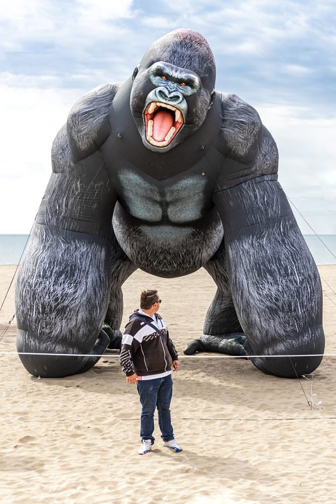 Photographies de Claude Lecante réalisées durant ses pérégrinations balnéaires en France, Italie, Espagne. La plage, un lieu sociétal vide l'hiver, remplie l'été à Sète. Nos amies Moule et Frite en balades après un bain sur la plage de Narbonne. Un king Kong des plages.
#kingkong #narbonne